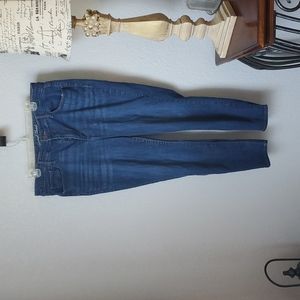 Jeans Sze 18WR High Rise Skinny